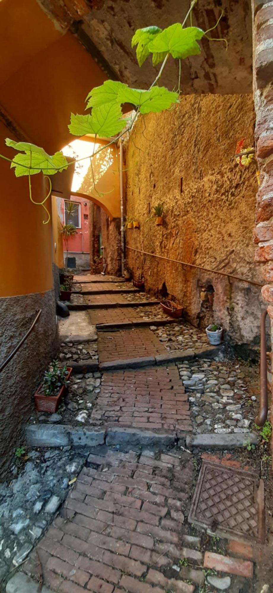Giuggiolhouse Apartment Genoa Exterior photo